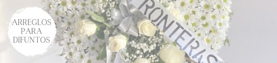 Imagen de WhatsApp 2022-12-22 a las 11.19.08